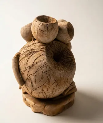The Hidden Fortune view 1